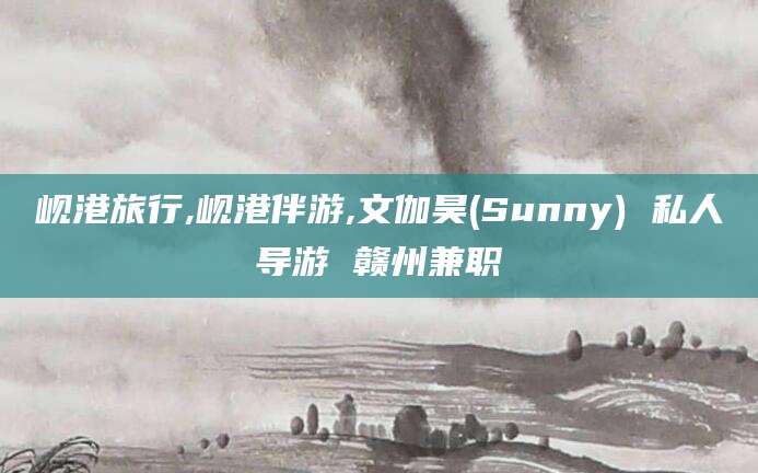 山东岘港旅行,岘港伴游,文伽昊(Sunny) 私人导游 赣州兼职