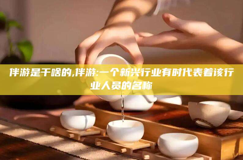 山东伴游是干啥的,伴游:一个新兴行业有时代表着该行业人员的名称