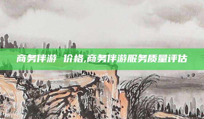 山东商务伴游 价格,商务伴游服务质量评估